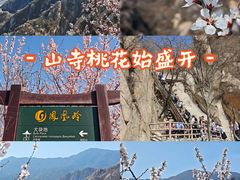 -北京凤凰岭