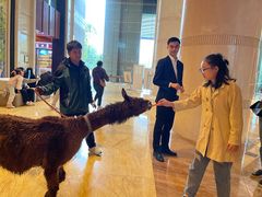 -济南喜来登酒店