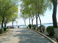 -丁香湖公园