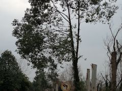 -白鹭湾湿地公园