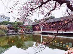 -艺圃