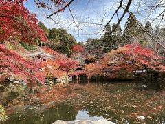 -醍醐寺