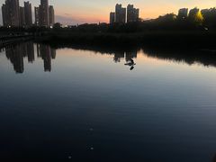 -前关湿地公园