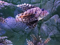 -成都浩海立方海洋公园