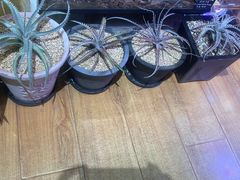 -Rabbit Cafe私房西餐甜点咖啡(栖霞路店)