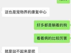 -中国农业大学动物医院