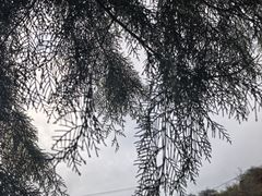 -叠溪松坪沟景区