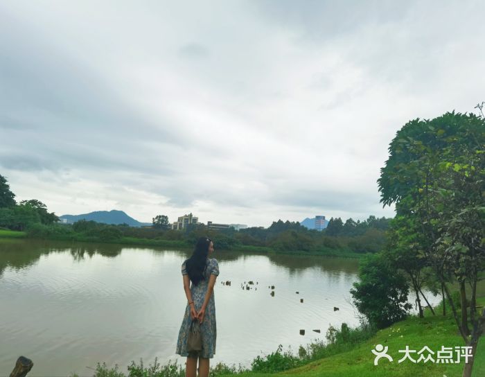 松山湖南湖湾露营营地图片