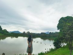 -松山湖南湖湾露营营地