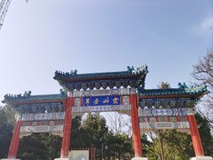 -云岗森林公园