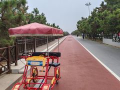 -日照海滨国家森林公园