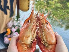 -欢乐蟹庄·精品农家乐(阳澄湖莲花岛店)