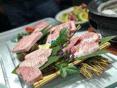 极上和牛五拼-隐炉和牛烧肉店(群力店)