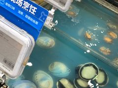 -盒马鲜生(皇庭广场店)