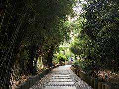 -九龙潭景区