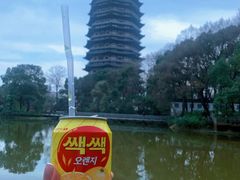 -听松楼·花园酒店·自助餐厅(红梅公园店)