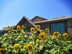 -丹江渔村(首都机场店)