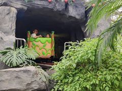 -南宫五洲植物乐园