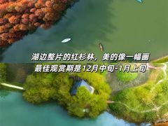 -佛冈森波拉度假区