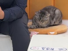 -全心全意连锁动物医院·微创中心·内科急重症·心脏专科(丰管路店)