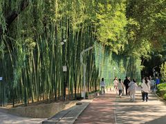 -西安市长乐公园