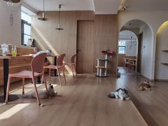 -猫腻·猫咖·撸猫馆(星光大道店)