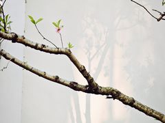 -乌山风景区