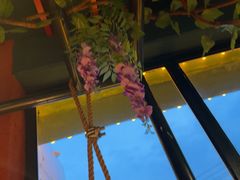 -吧嘚嘴炭烧鸽串吧(北海街店)