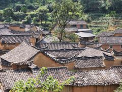 -杨家堂村
