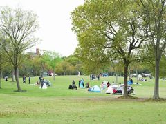 -上海吴淞炮台湾国家湿地公园