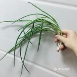  紫菜鸡蛋汤（孕期长胎不长肉食谱第17天）