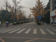 -四川大学(望江校区)