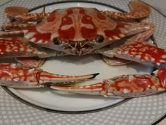 -大班家政月嫂育儿嫂(深圳NO.1店)