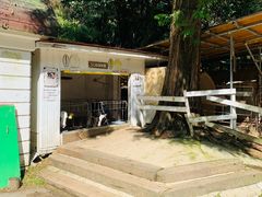-神户市立六甲山牧场