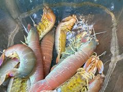 -金銮渔家(东山海鲜地标店)