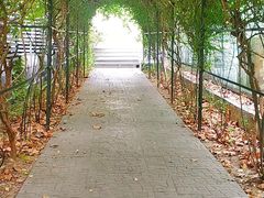 -T80科技文化国际社区-停车场