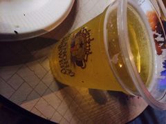 Shanghai&nbsp;Brewery(东平路店)-Shanghai Brew House上海啤酒工坊(老外街店)