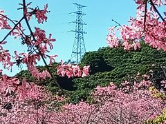 -风云岭森林公园