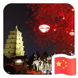 点击看大图 -YIMEI ART半永久纹眉·野生眉