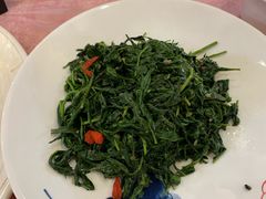 清香枸杞苗-国强手抓(北京西路店)