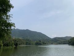 -深圳仙湖植物园