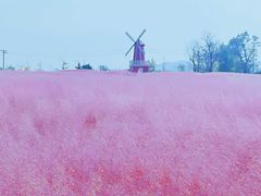 -羊亭河湿地公园