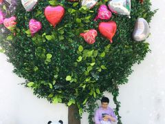 -常熟理文铂尔曼酒店