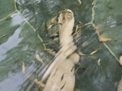 -苏州湾·王焰温泉