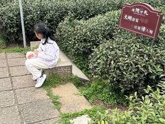 -中国茶叶博物馆(双峰馆区)