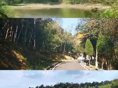 -游子山休闲旅游区