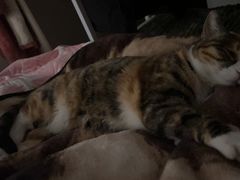 -新荟城(望京店)