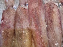 -501號台州海鲜餐厅(海创园店)