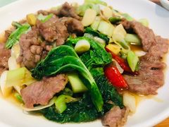 -曾牛肉