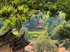 -杨家堂村